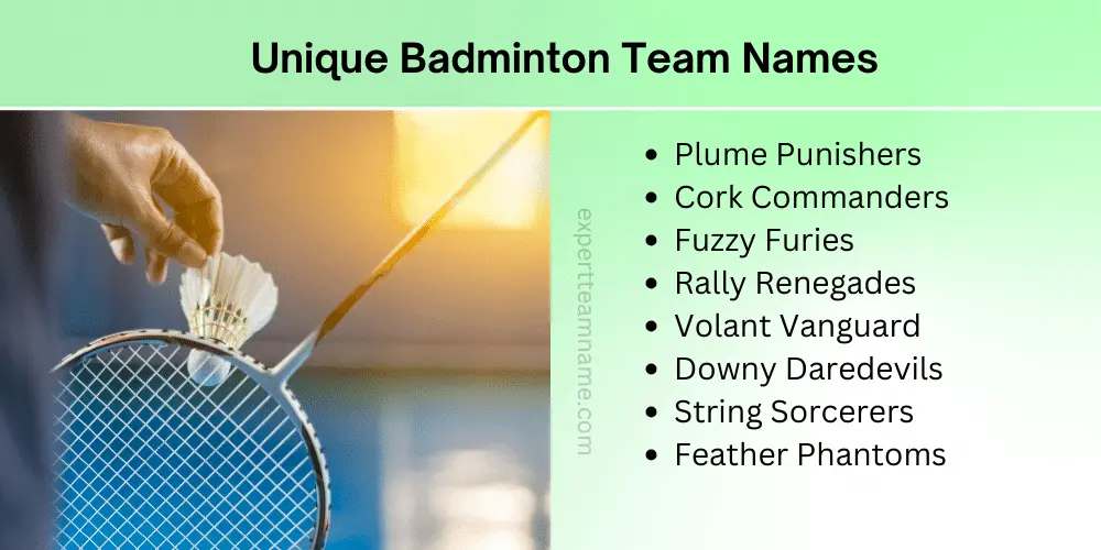Unique Badminton Team Names