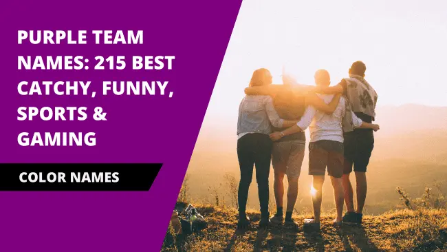 Purple Team Names: 215 Best Catchy, Funny, Sports & Gaming