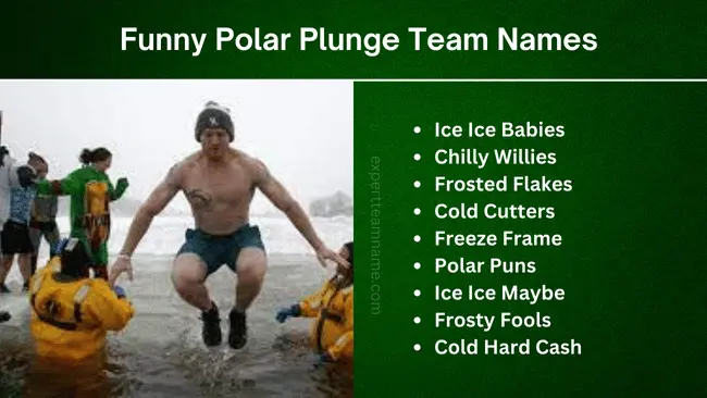 Funny Polar Plunge Team Names