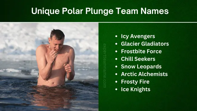 Unique Polar Plunge Team Names