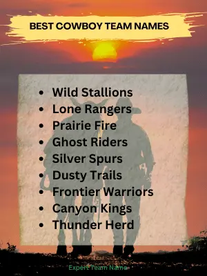 Best Cowboy Team Names