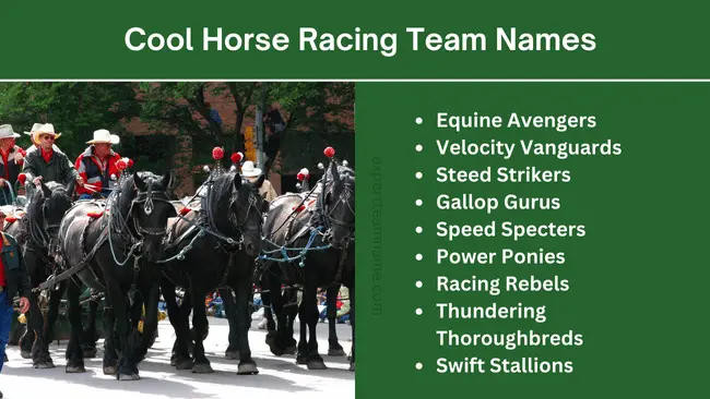 Cool Horse Racing Team Names