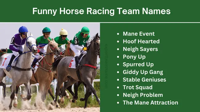 Funny Horse Racing Team Names