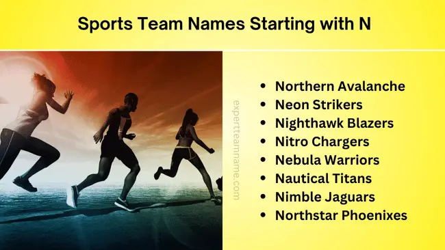 Sports Team Names Starting with N