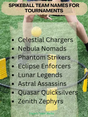 Spikeball Team Names for Tournaments