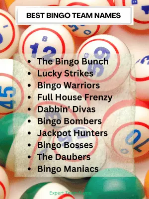 Best Bingo Team Names