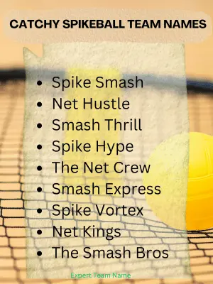 Catchy Spikeball Team Names