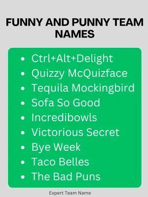 Funny and Punny Team Names