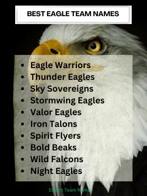 Best Eagle Team Names