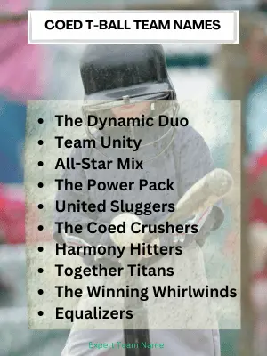 Coed T-Ball Team Names