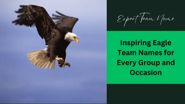 Eagle Team Names