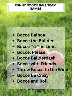 Punny Bocce Ball Team Names