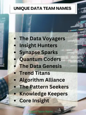 Unique Data Team Names