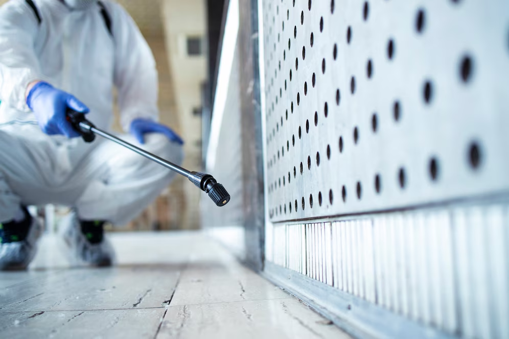 7 Effective Strategies for A Pest-Free Living Space 1