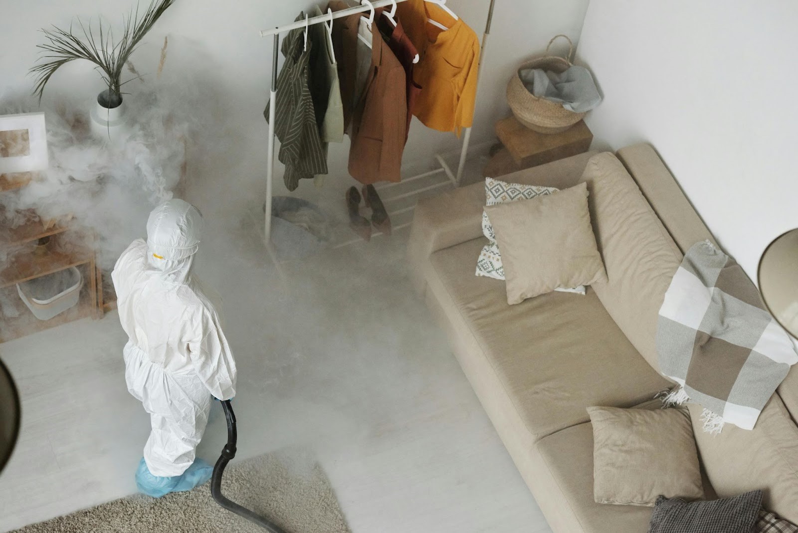 How Frontline Termite & Pest Control Protects Richmond Homes From Pests? 1